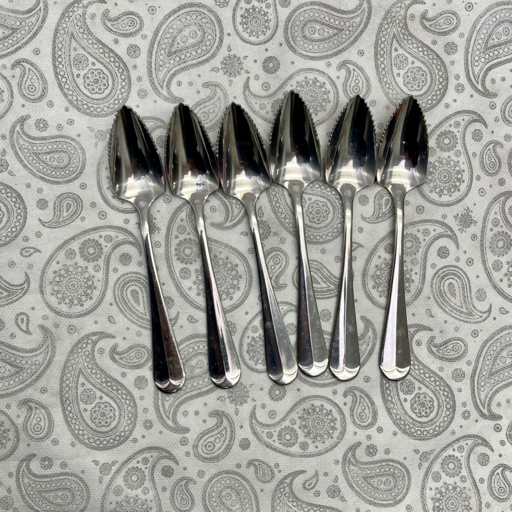 Norpro Stainless Steel Grapefruit Spoons Serrated Edge Set of 6 Made in Japan